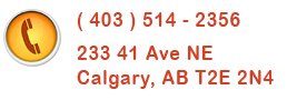Call 41st Auto